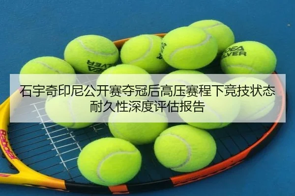 shi-yu-qi-yin-ni-gong-kai-sai-duo-guan-hou-gao-ya-sai-cheng-xia-jing-ji-zhuang-tai-nai-jiu-xing-shen-du-ping-gu-bao-gao-2-246.jpg