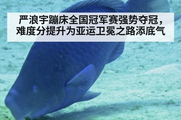 严浪宇蹦床全国冠军赛强势夺冠,难度分提升为亚运卫冕之路添底气